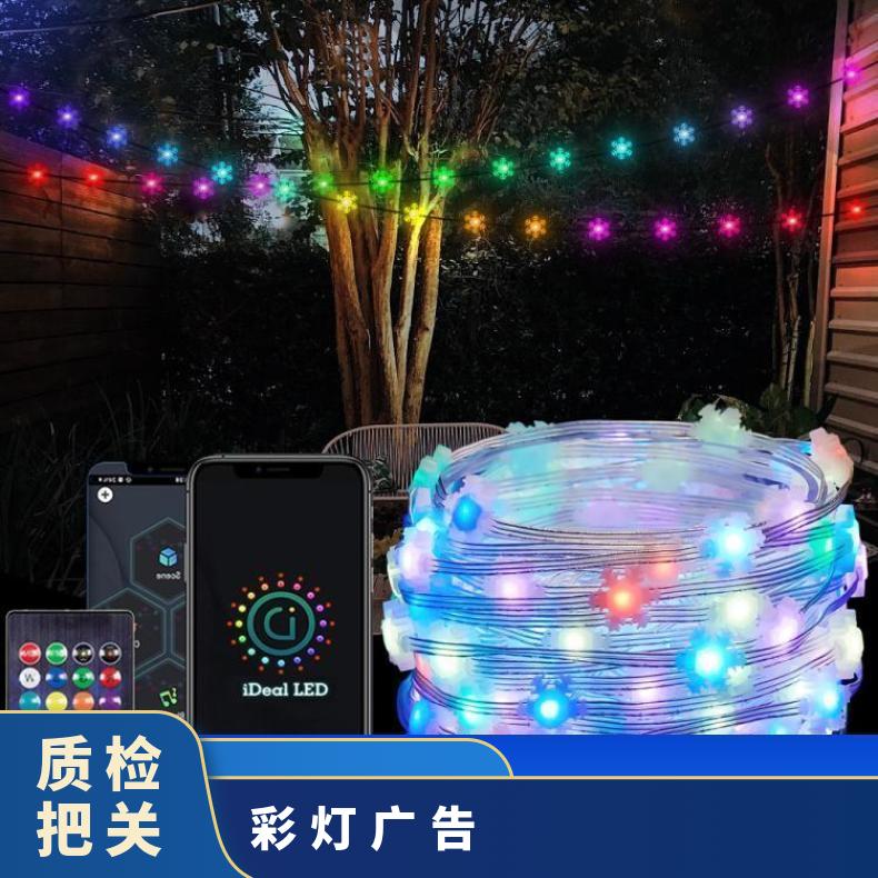 跨境APP点控一体雪花造型灯串幻彩皮线灯庭院灯 节日表白装饰彩灯