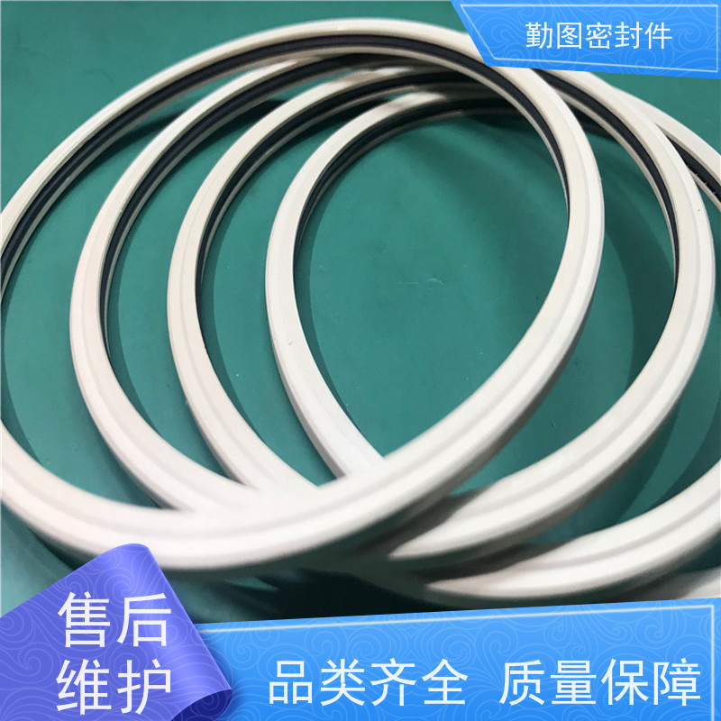 勤图 15000PSI闸阀密封圈 耐高温摩擦系数低 满足各种应用要求 