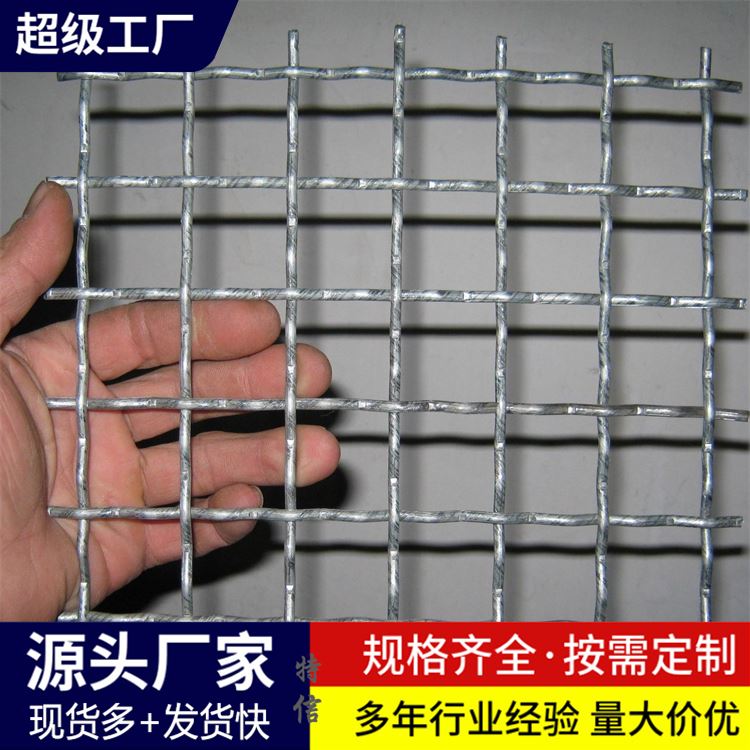304不锈钢防鸟网 轧花网片 编织方孔 特信定做矿筛网