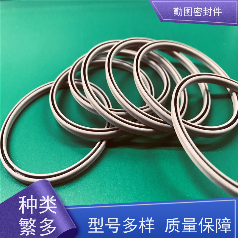 勤图 进口泛塞封 石油化工领域应用广泛 环境适应性好 