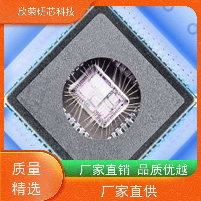 集成电路芯片设计及服务