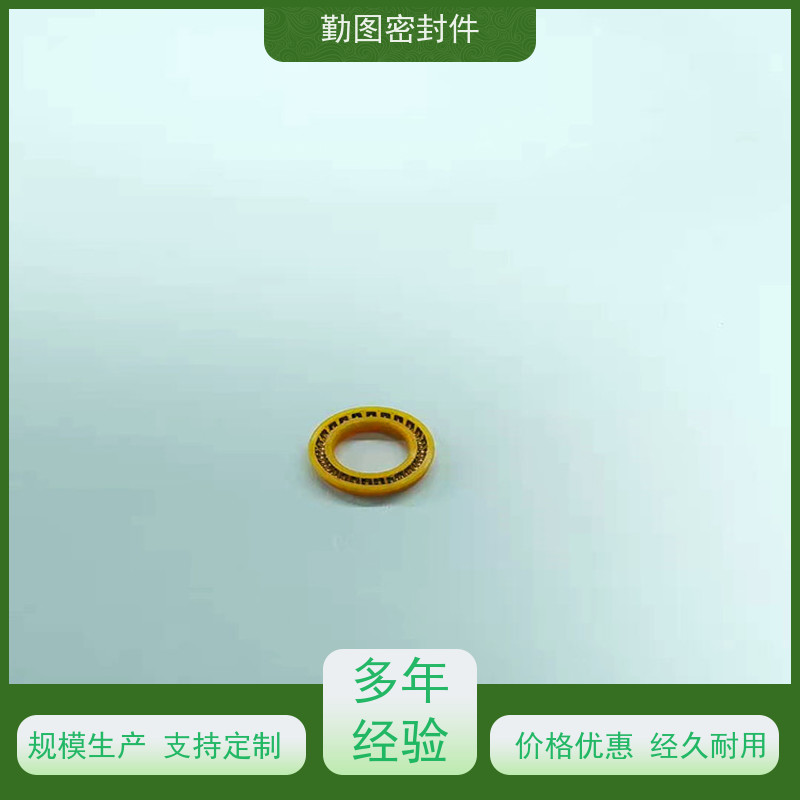  vermes压电阀密封圈 耐磨,耐压,耐腐蚀,耐高温 支持定制
