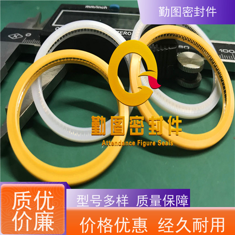  端面泛塞封 耐腐蚀和自紧密封性能强 满足卫生和安全要求