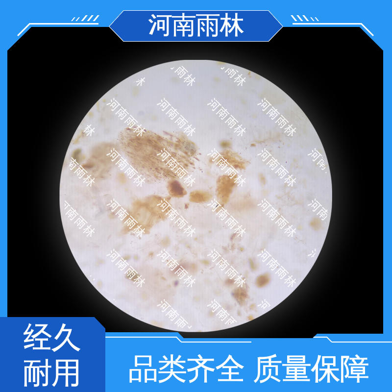 支持定制 植物切片 品质优良 可后期加工 雨林教育