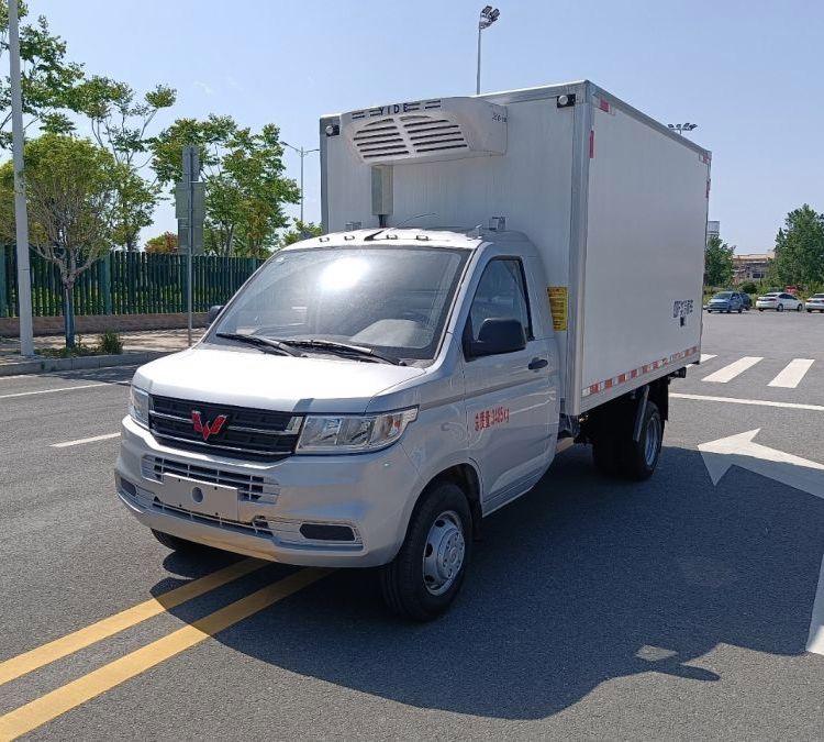 3米3五菱厢式蓝牌冷藏车 肉类生鲜蔬菜食品冷冻运输车