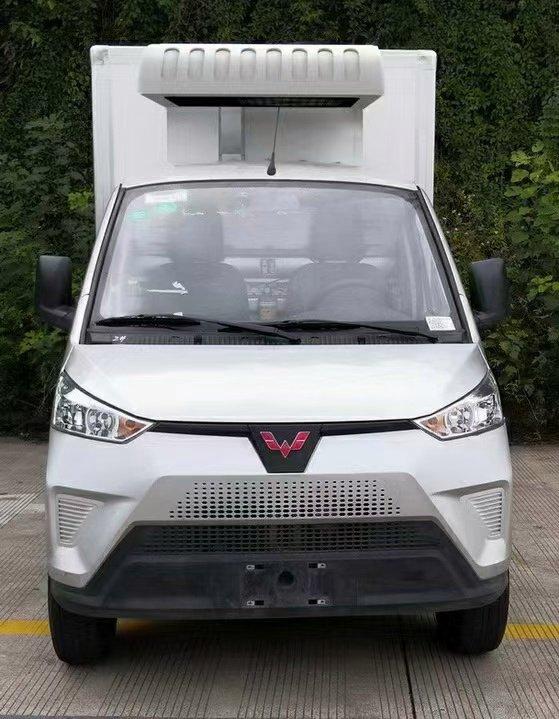 2米8五菱新能源电动冷藏车 肉类生鲜蔬菜食品冷冻运输车