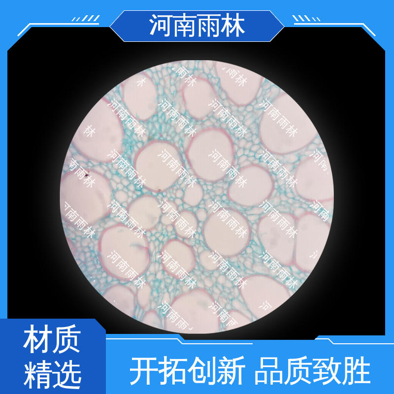 雨林教育工程 性价比高 一对一质检 显微切片 个性化定做