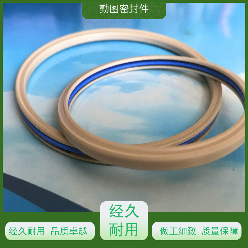 勤图 15000PSI闸阀密封圈 耐高温摩擦系数低 满足各种应用要求 