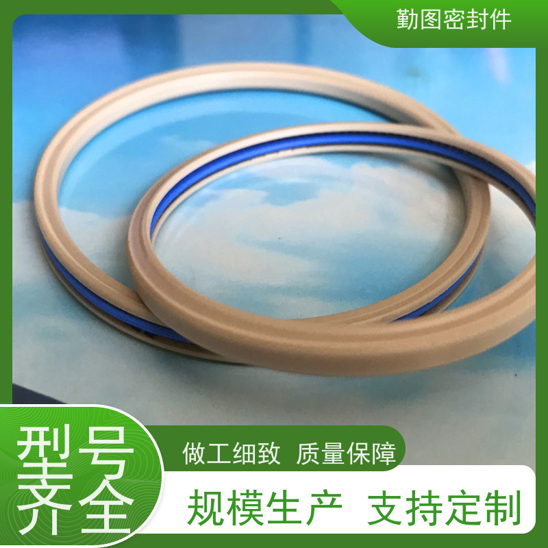 勤图 15000PSI闸阀密封圈 耐高温摩擦系数低 满足各种应用要求 
