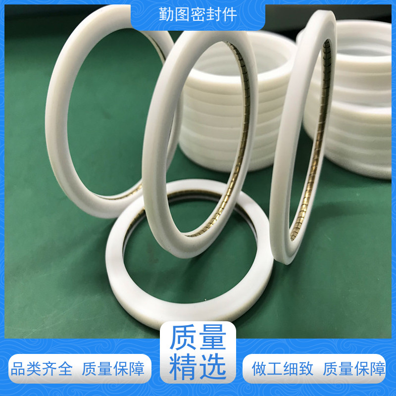  喷射阀泛塞圈 耐腐蚀和自紧密封性能强 使用寿命长 欢迎咨询