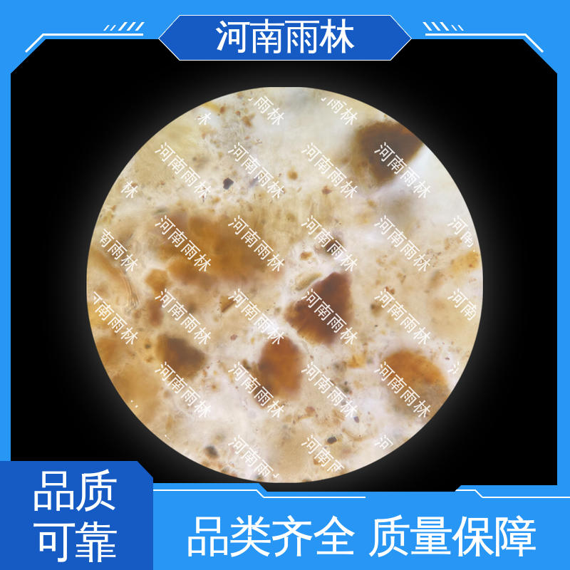 雨林教育工程 质量优 教学切片 支持定制 颜色鲜亮