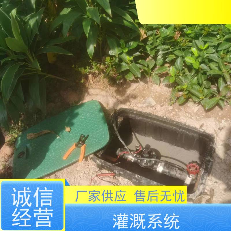 淋达LINDAICS 全自动喷灌 5个电磁阀 多种控制方式 应用范围广