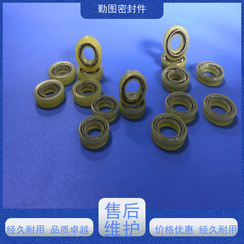  vermes压电阀密封圈 耐磨,耐压,耐腐蚀,耐高温 满足各种应用要求