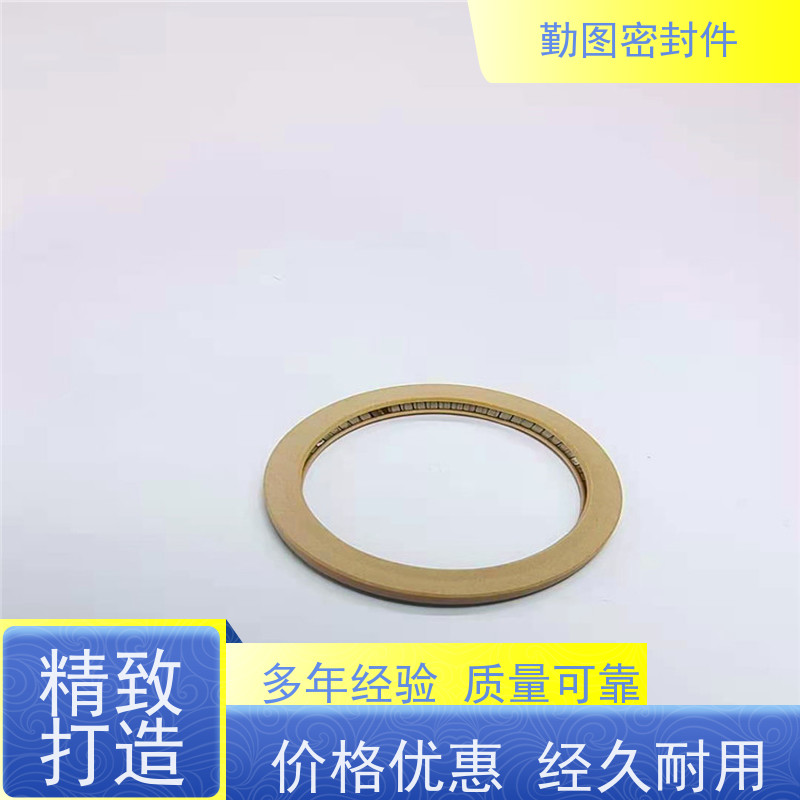  诺信喷射阀泛塞封 耐磨,耐压,耐腐蚀,耐高温 任意尺寸支持定制