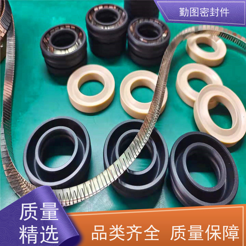 勤图 15000PSI闸阀密封圈 耐高温摩擦系数低 满足各种应用要求 
