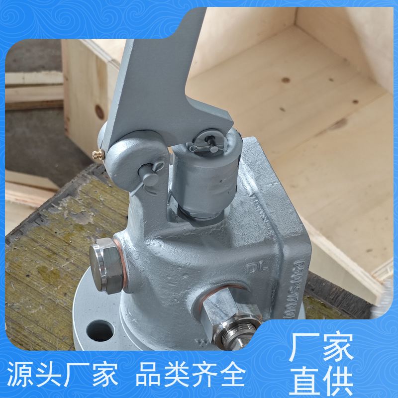楚天克莱德 适用于半伸缩吹灰器 DN80提升阀 原厂专用 