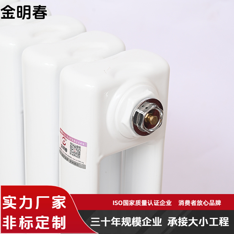 金明春 厂家供应 钢二柱暖气片 耐高温耐腐蚀 按需定制