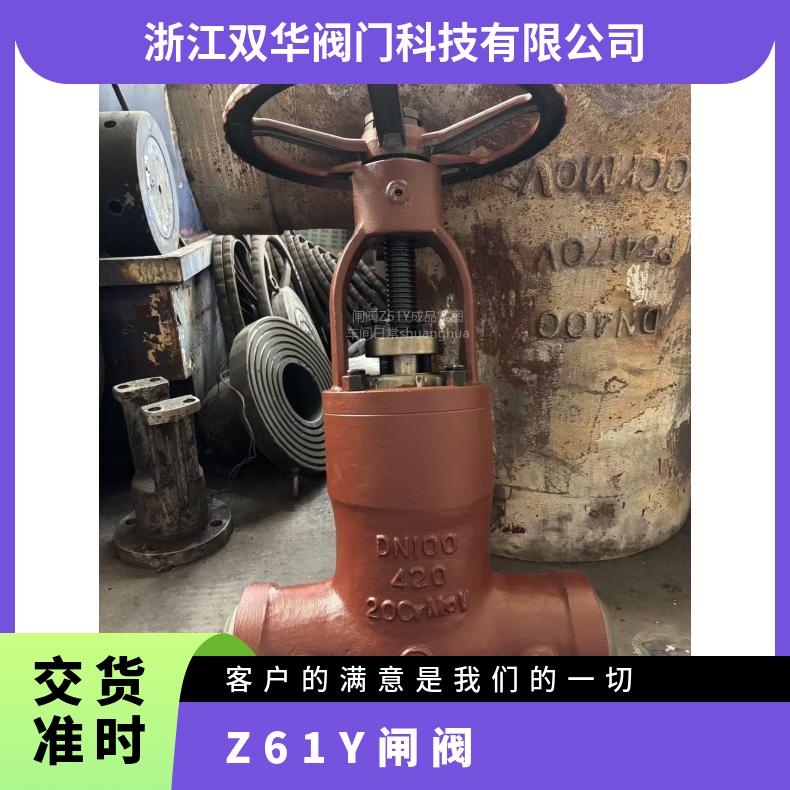 铸钢焊接闸阀Z61H/Y-16C25C40C100C碳钢高压DN50锅炉蒸汽 双华阀门