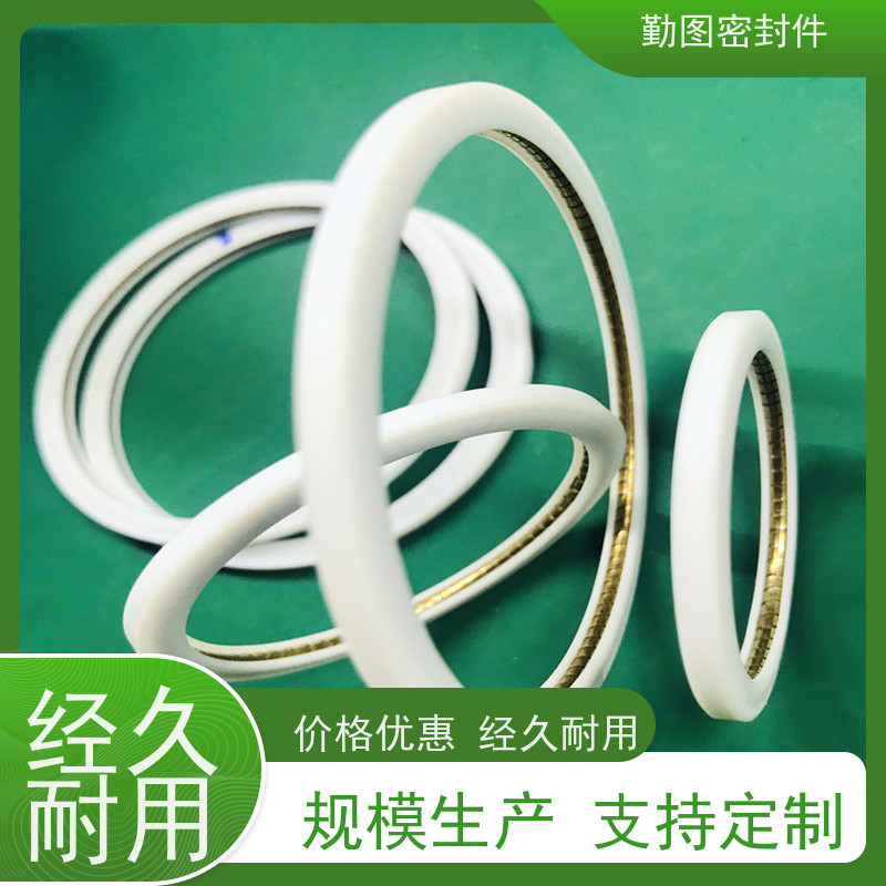  端面泛塞封 对法兰压缩面的表面要求不高 非标定制