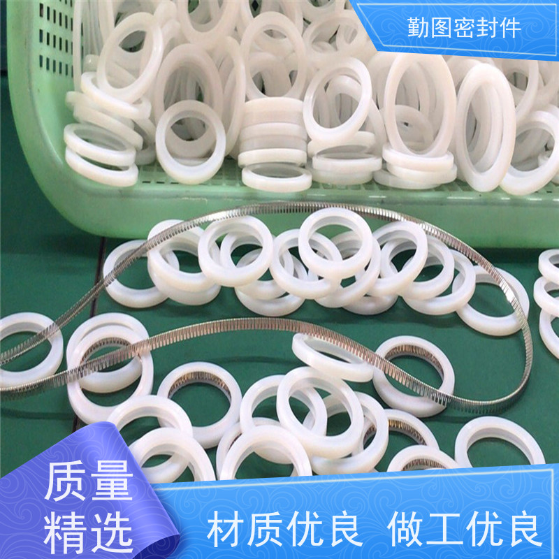  喷射阀泛塞圈 耐磨,耐压,耐腐蚀,耐高温 规格齐全