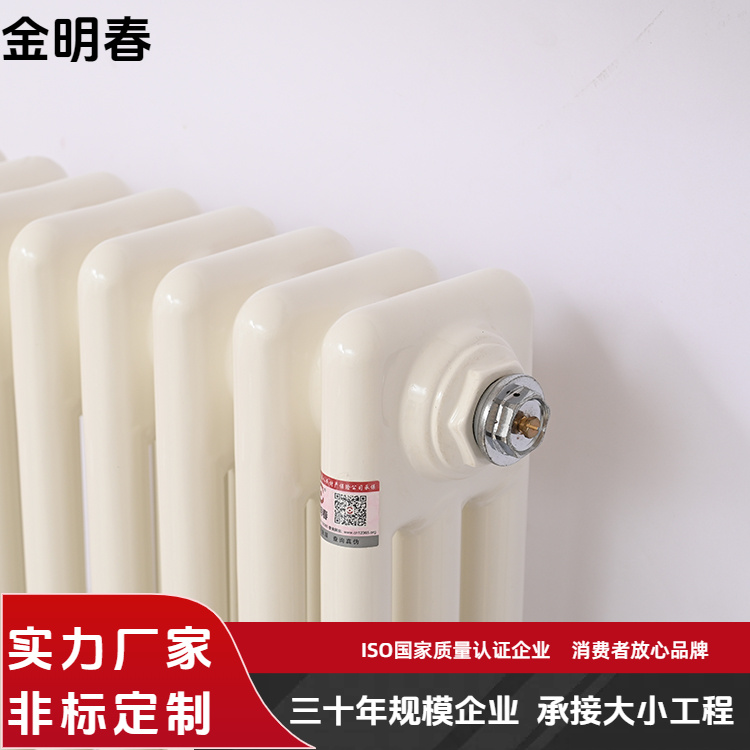 金明春 厂家 QFGZ219钢制二柱暖气片 防腐防锈易安装 规格齐全