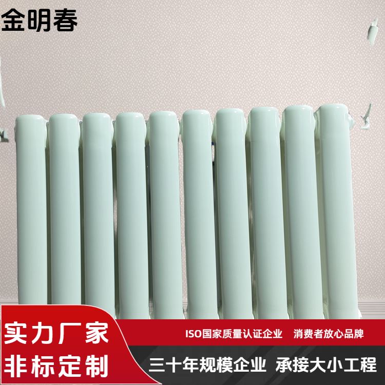 金明春 厂家供应 钢二圆柱散热器 QFGZ206 使用寿命长 规格齐全