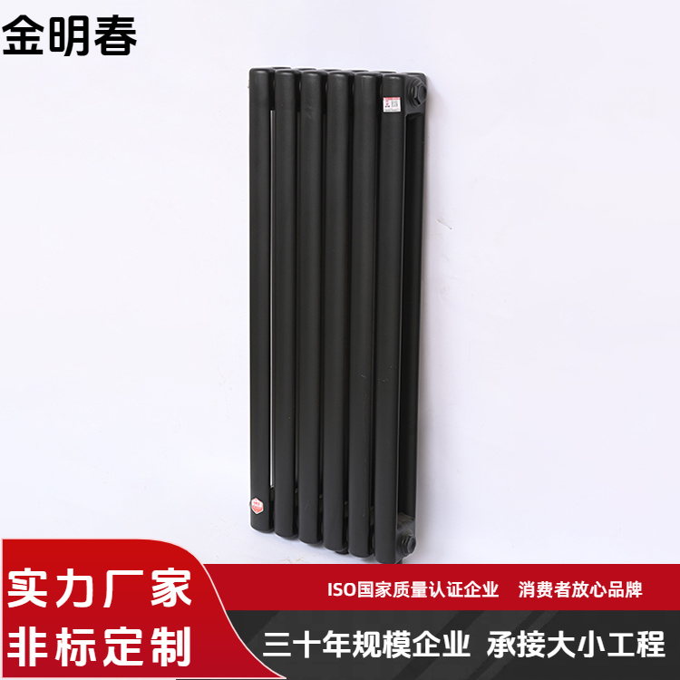 金明春 厂家供应 QFGZ219钢制二柱暖气片 占地小安装便捷 规格齐全