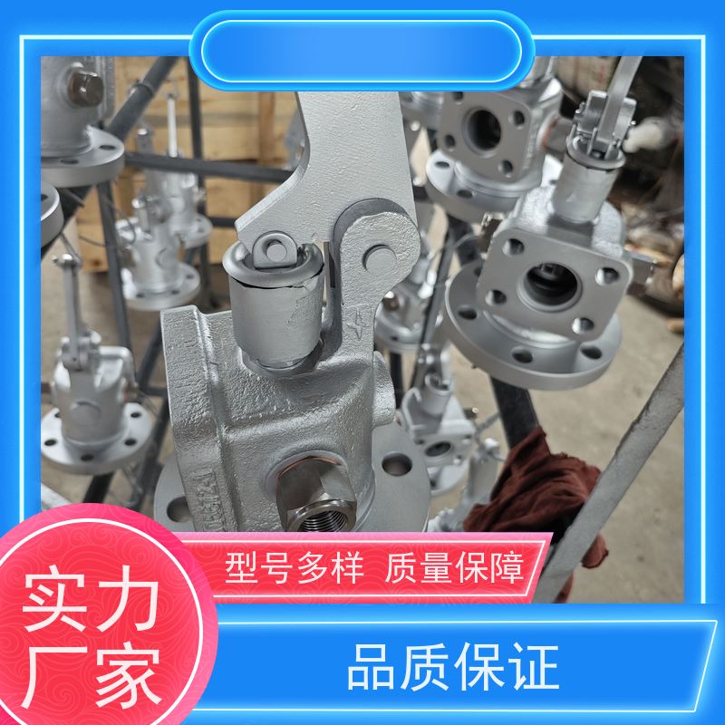 楚天克莱德 适用于戴蒙德吹灰器 DN80提升阀 原厂专用 