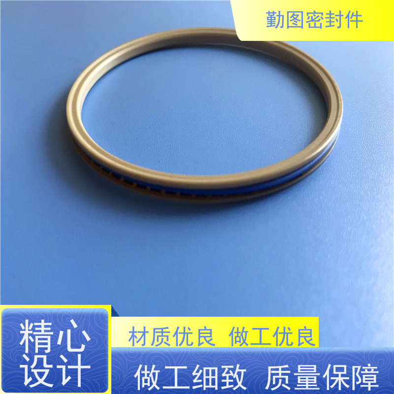 勤图 15000PSI闸阀密封圈 耐高温摩擦系数低 满足各种应用要求 
