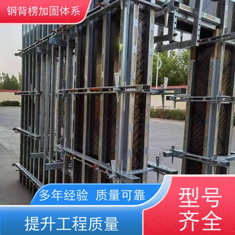 恒泰 可重复使用 经济效益高 主龙骨钢背楞 剪力墙模板支撑加固体系