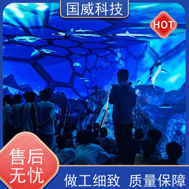 国威科技 景区商业项目 飞越影院 梦幻 品牌公司