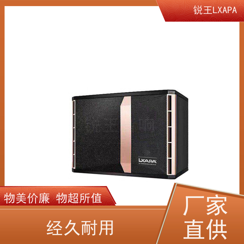 锐王LXAPA 吸顶音箱 多媒体教学音响设备 中小型会场 会议功放音柱