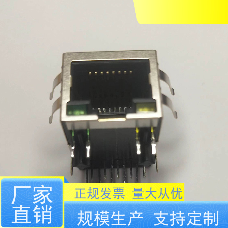 永利泰 RA19113G08GA型 数据传输端口 连接头厂家定制 可接受订货