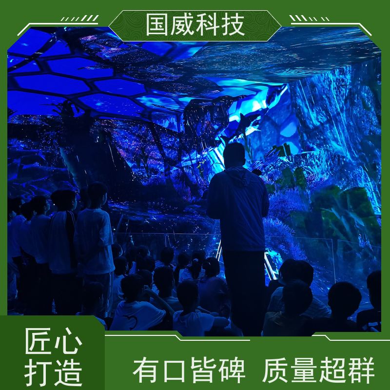 国威科技 飞越主题项目 球幕影院 梦幻 品牌供应