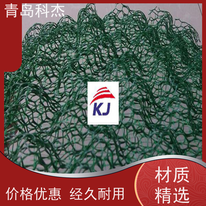 科杰塑机 自主研发 生态护坡三维固土网垫生产线 产量高 性价比高