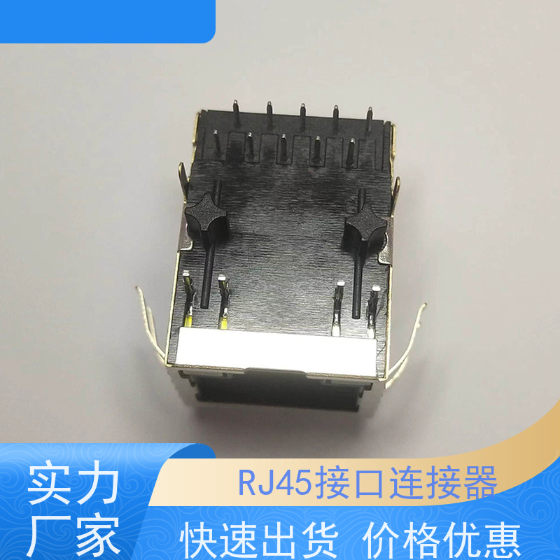 永利泰 RA19113G08GA型 数据传输端口 连接头厂家定制 可接受订货