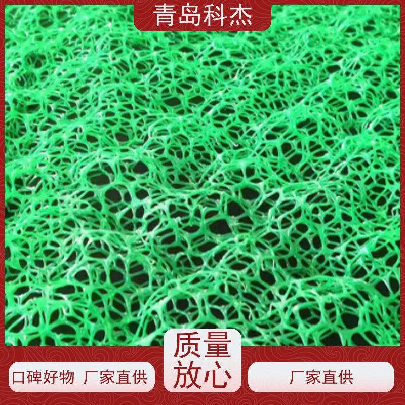 科杰塑机 工厂直供 三维柔性多规格土工垫设备 产量高 支持定制