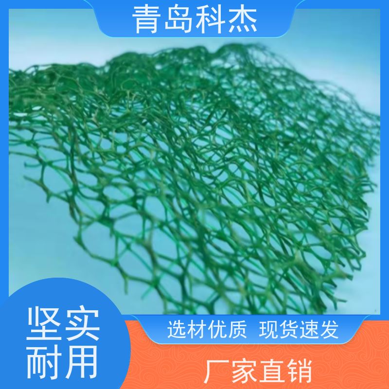 科杰塑机 厂家直供 三维土工加筋网垫生产线 产量稳定 性价比高