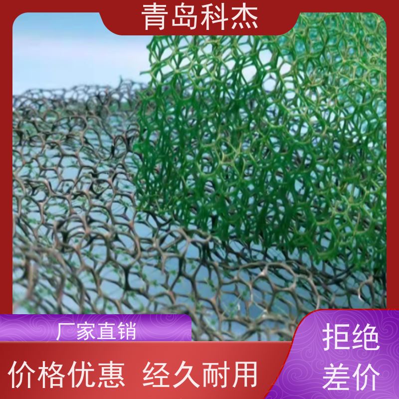 科杰塑机 工厂直供 护坡植草 三维生态保护毯生产线 结实耐用 省时省力