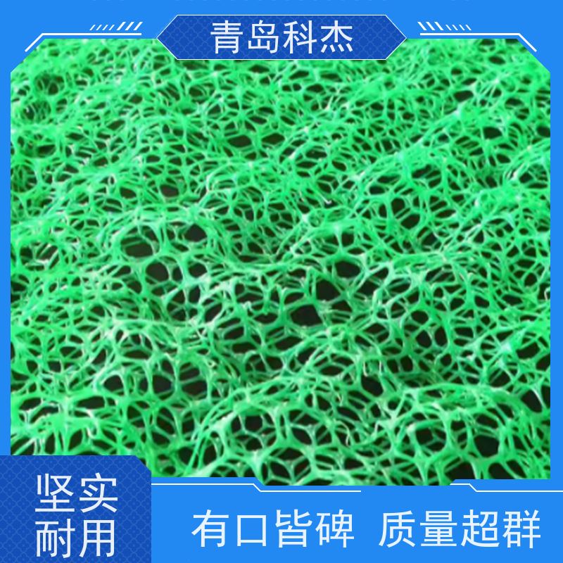 青岛科杰 厂家直供 聚丙烯加筋麦克排水垫设备 可连续生产 省时省力