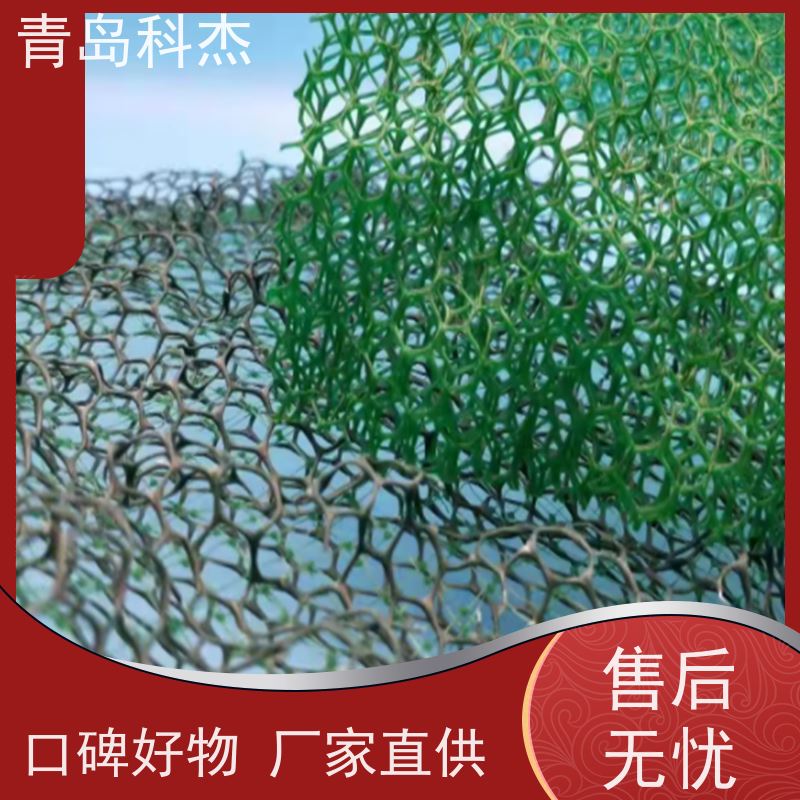 科杰塑机 厂家直供 3D土工垫设备 海内外有售 性价比高