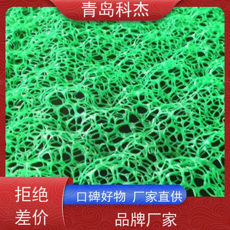 科杰塑机 自主研发 3D土工垫设备 产量高 支持定制