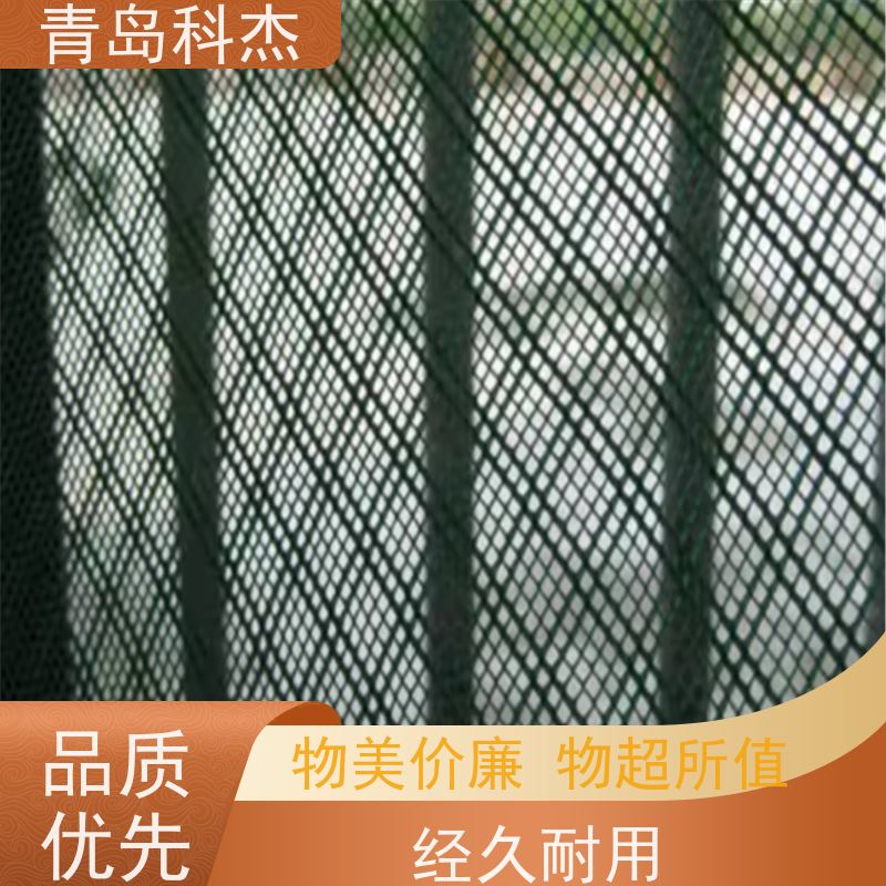 青岛科杰 产量稳定 绿色土工网 罩面网生产线 无废品 全自动