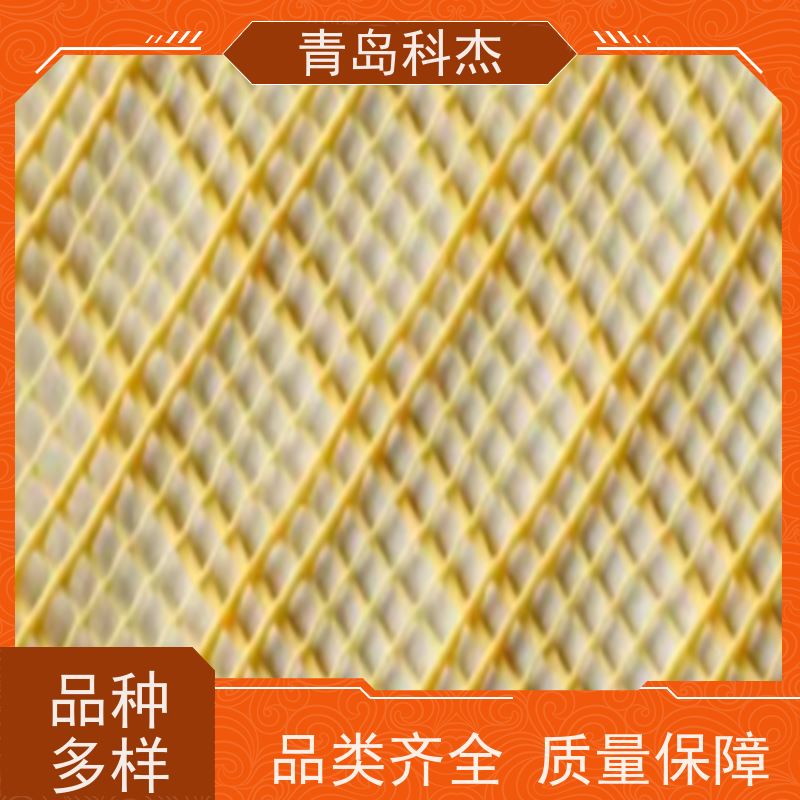 科杰 产量稳定 绿色土工网 罩面网生产线 效率高 支持定制