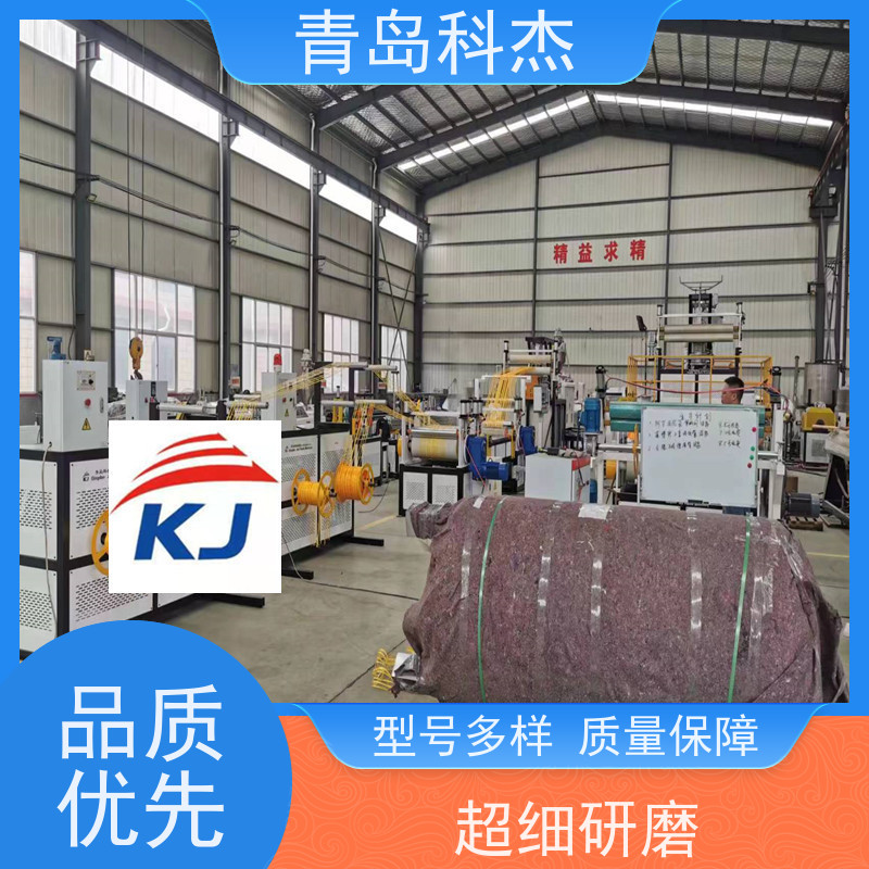 科杰 自主研发 铺鸭棚地用塑料网设备 外形美观 支持定制
