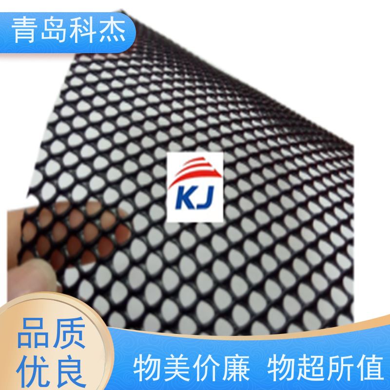 科杰 国内直供 聚乙烯养鸡脚垫网 白色养殖平网设备 可连续生产 全自动
