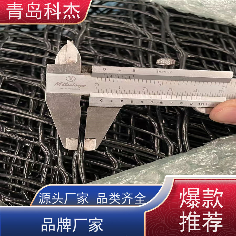 青岛科杰 产量稳定 绿化土工网 塑料平网 设备生产线 结实耐用 支持定制