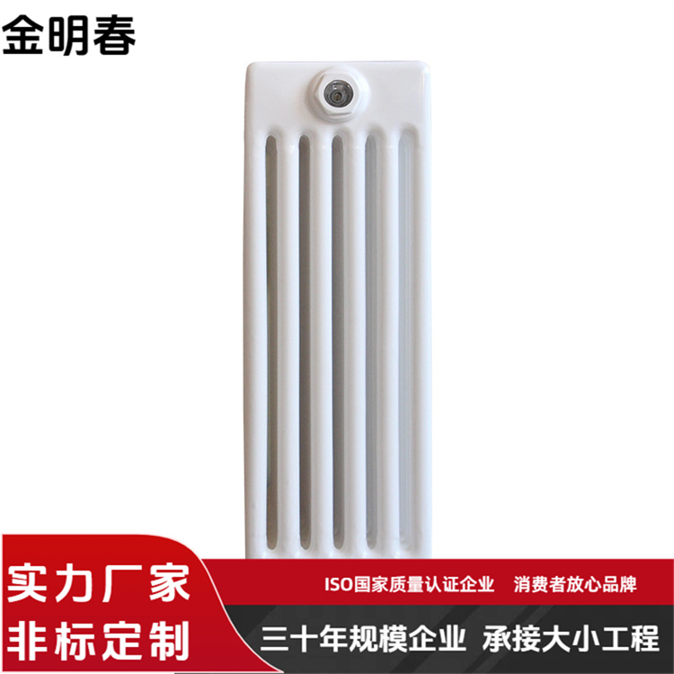 金明春 规格齐全 外型美观防腐 厂家 钢制暖气片