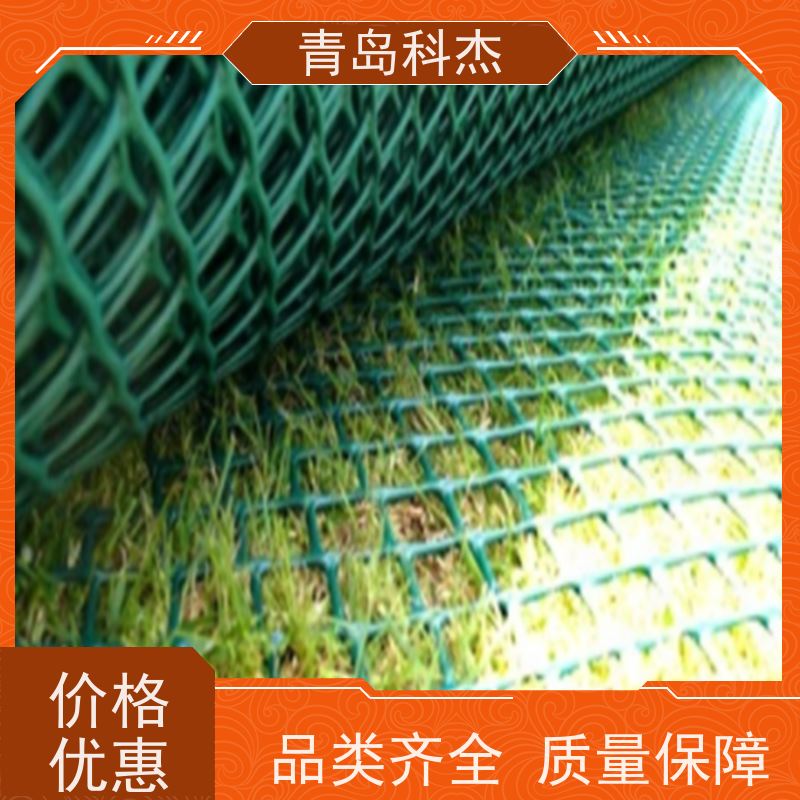 青岛科杰 国内直供 堤坝防护养殖畜牧塑料平网设备 抗压性强 性价比高