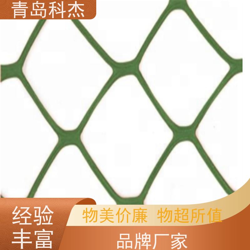 科杰 交钥匙工程 聚乙烯塑料平网生产线 效率高 全自动